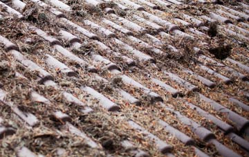 West Lilling roof cleaning companies